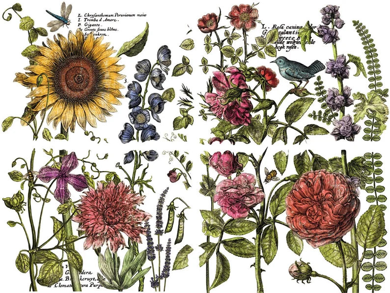 IOD BOTANIST JOURNAL Transfer Pad (Iron Orchid Designs)