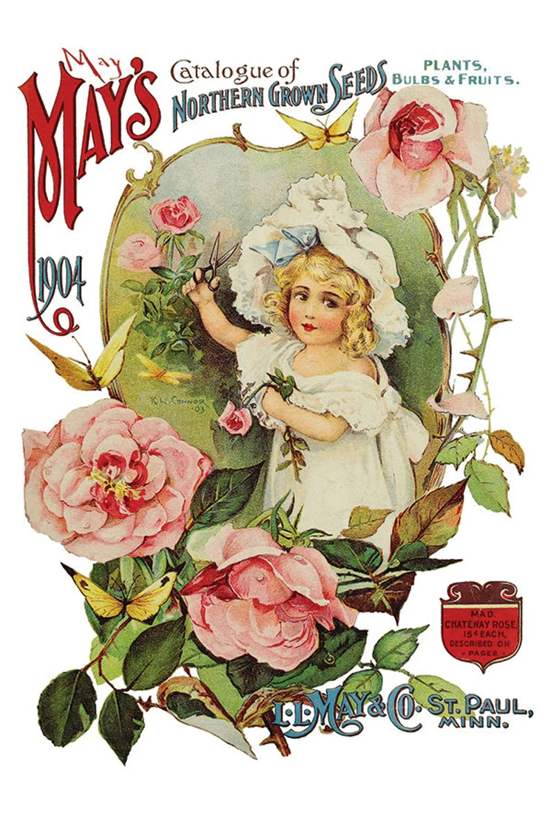 IOD EPHEMERAL MELANGE Decor Transfer 8 X 12 Transfer (Iron Orchid Designs)