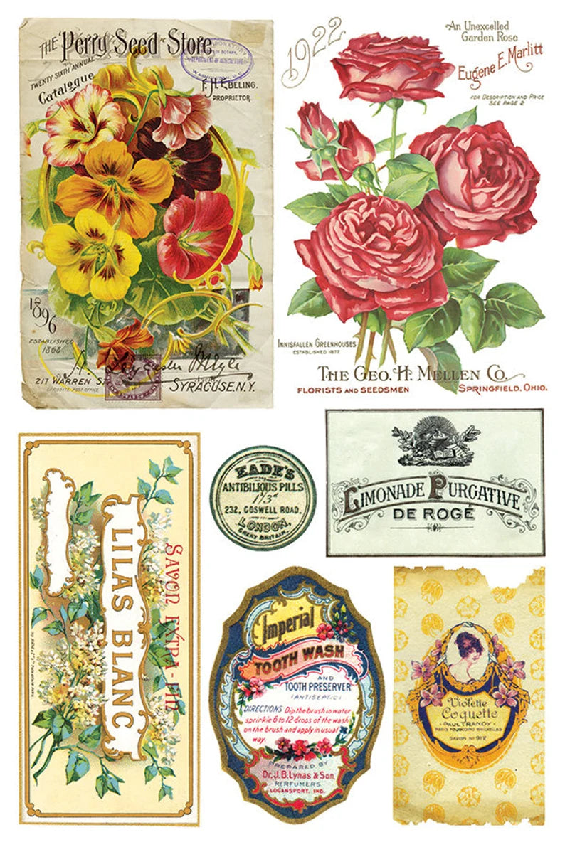 IOD EPHEMERAL MELANGE Decor Transfer 8 X 12 Transfer (Iron Orchid Designs)