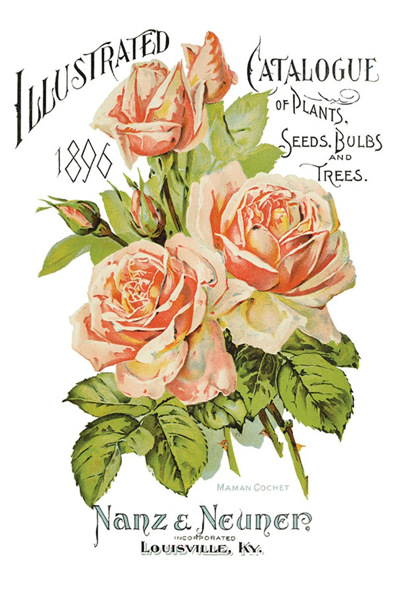IOD EPHEMERAL MELANGE Decor Transfer 8 X 12 Transfer (Iron Orchid Designs)