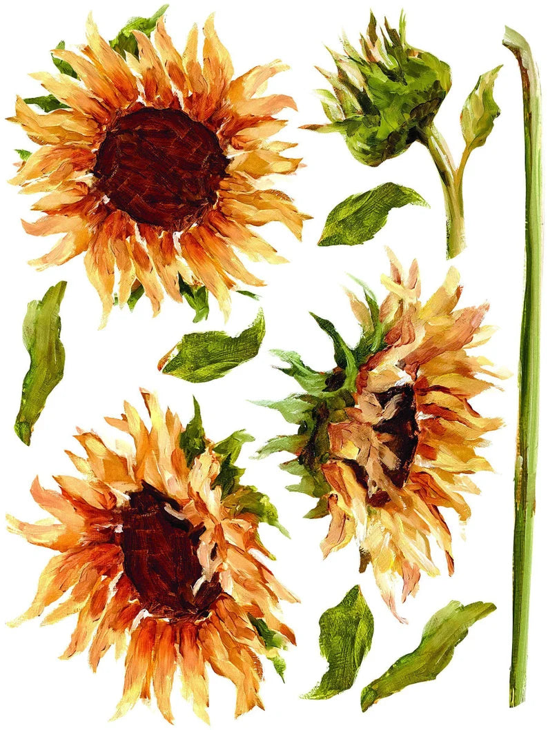 IOD PAINTERLY FORALS Decor Transfer 12 x 16 (Iron Orchid Designs)