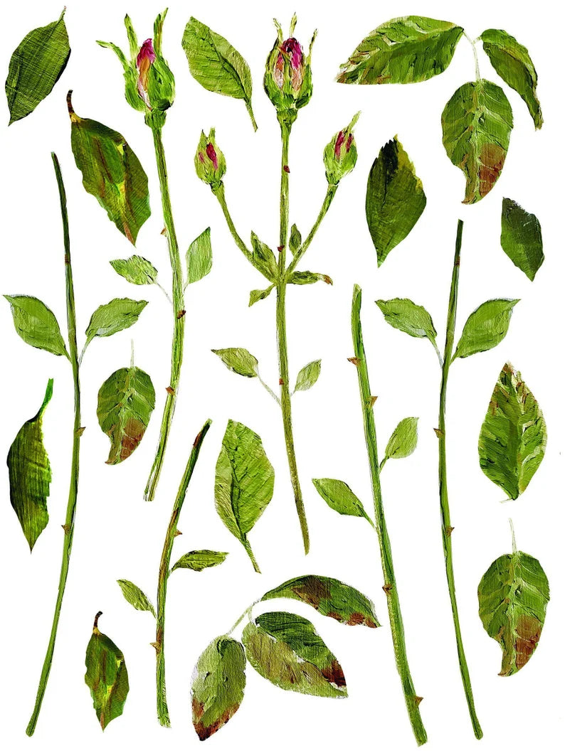 IOD PAINTERLY FORALS Decor Transfer 12 x 16 (Iron Orchid Designs)