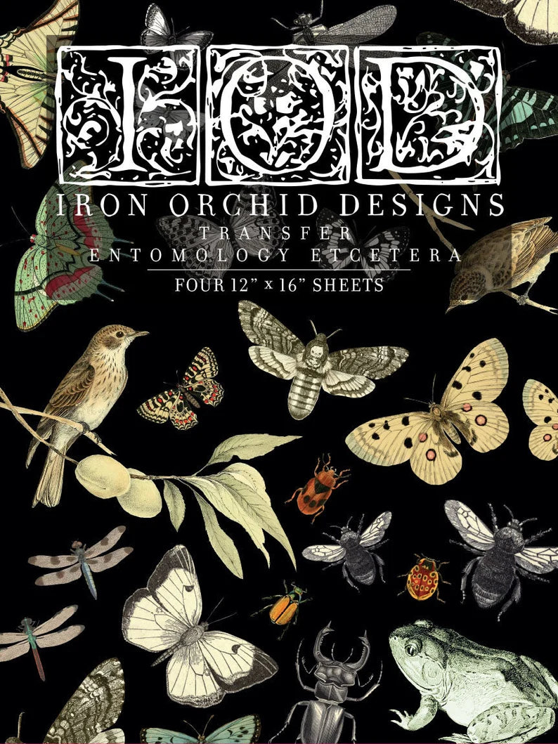 IOD ENTOMOLOGY ETCETERA Decor Transfer (Iron Orchid Designs)